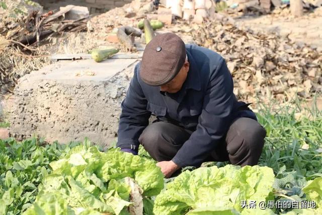 自然与科技交融之美，泥土的清香与最新视频探索