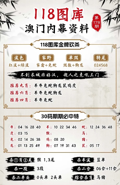 今晚澳门9点35分开什么,数据解答解释落实_精简版16.667