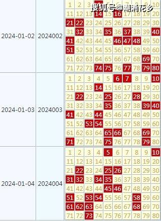 2024年天天开好彩大全,经济性执行方案剖析_The74.857