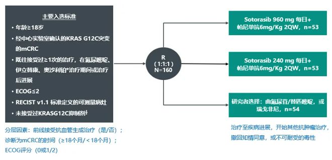 2024年12月7日 第74页