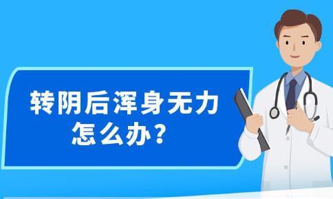 新澳精准资料免费提供网站,全面理解计划_3K55.322