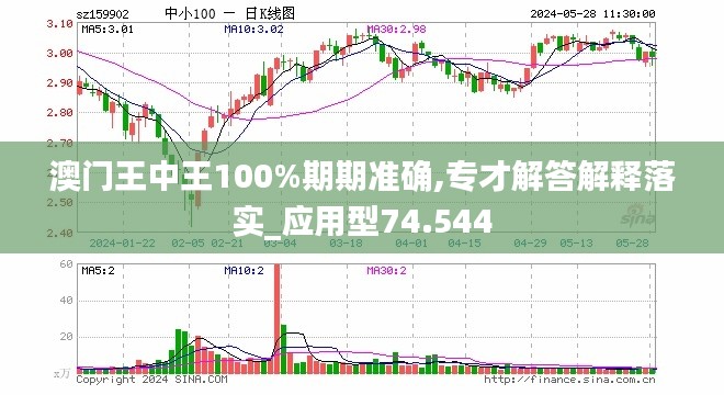 新澳门王中王100%期期中,数据驱动执行方案_至尊版37.504