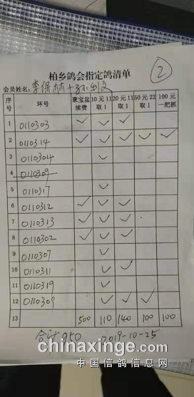 柏乡信鸽协会最新公告发布，内容摘要与活动更新