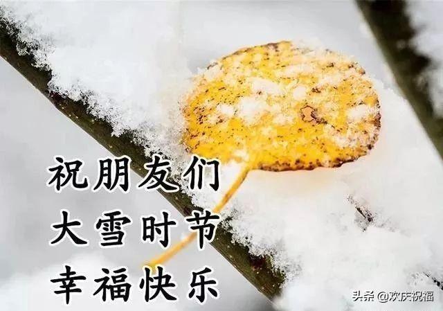 屏幕间的深情告白，最新思念恋人的甜蜜短信