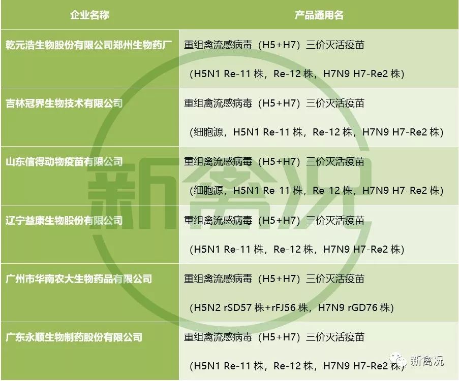 警惕涉黄风险，最新无毒H网探讨