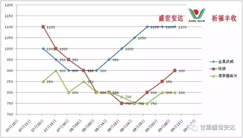 洋葱最新行情走势分析