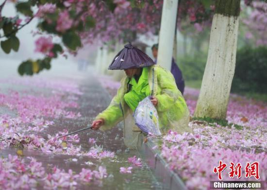 诗意绽放时，落花如雨纷飞