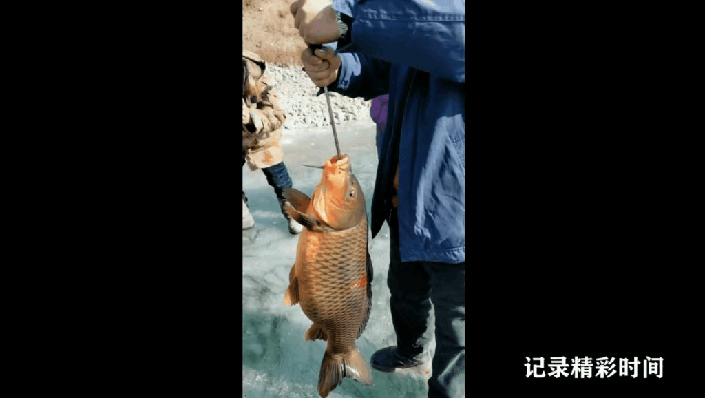 钓鱼艺术探索，最新视频的魅力与启示（2014年）