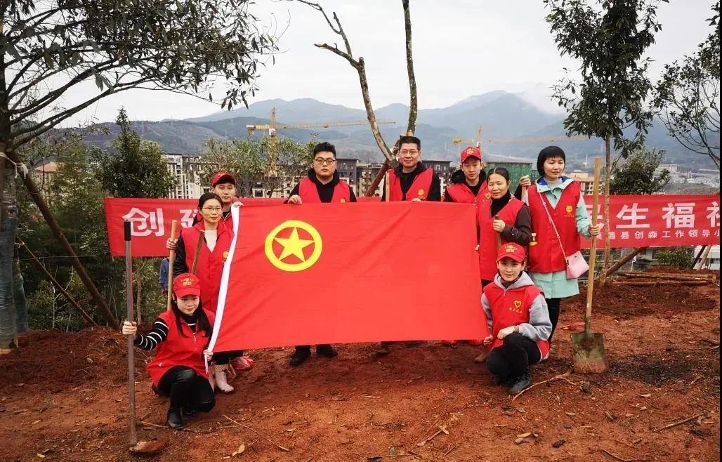 顺昌县小学发展规划概览，未来教育蓝图揭晓