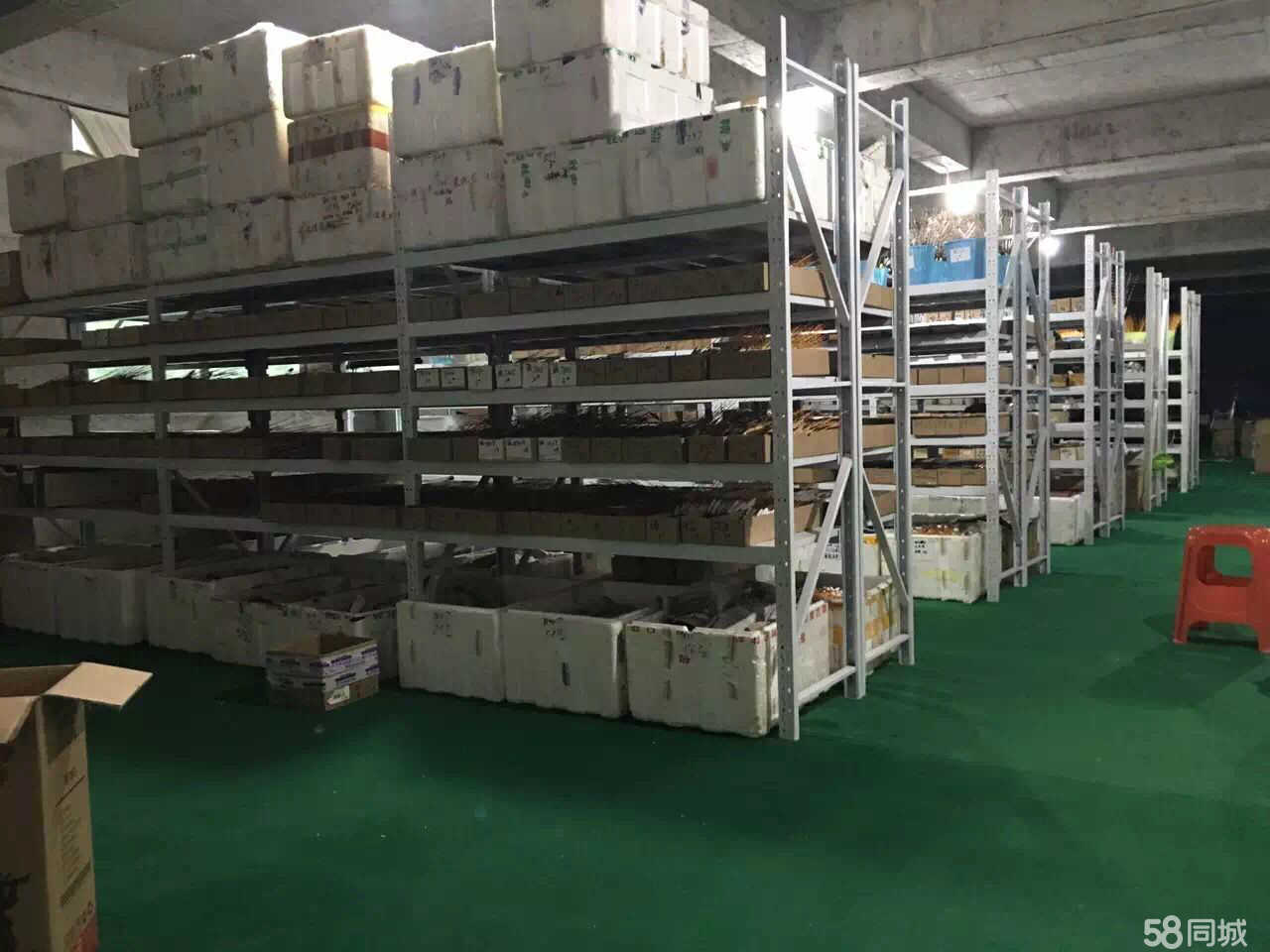 漯河仓库招聘信息更新与行业趋势深度解析