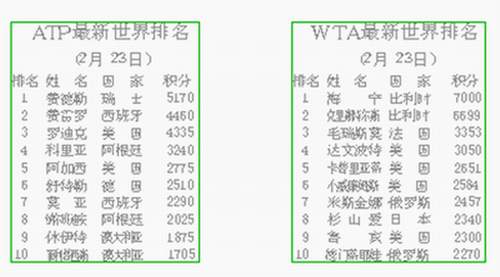 ATP片最新价格及市场趋势解析