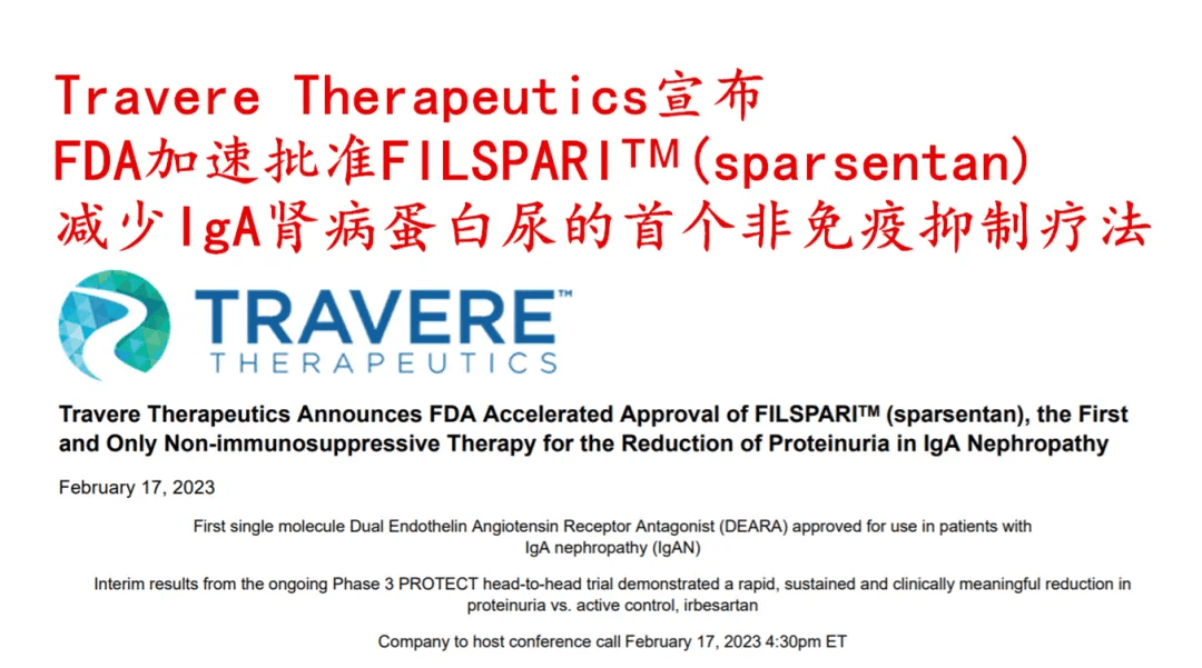 IGA肾病治疗领域最新突破研究与应用探索