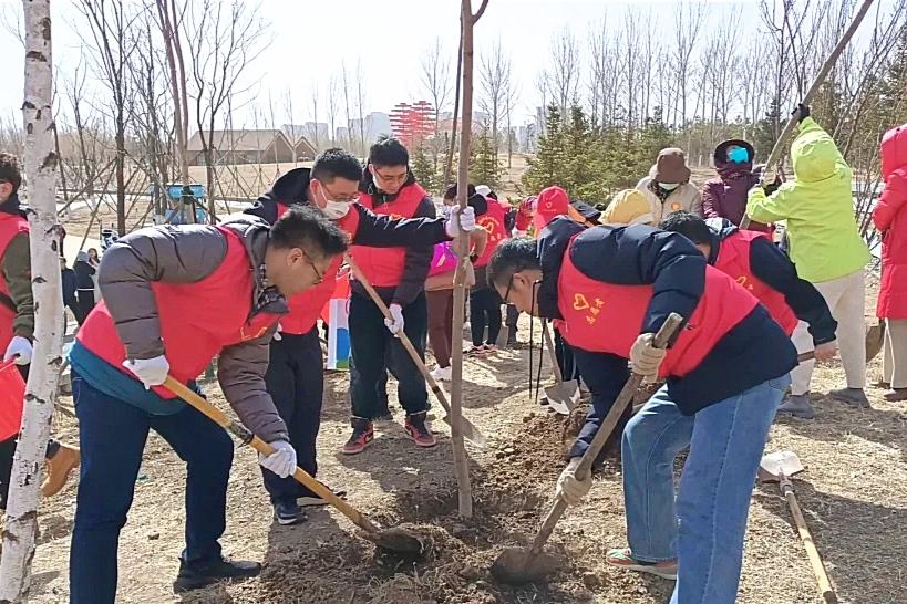 绿中海最新房价动态与市场影响分析