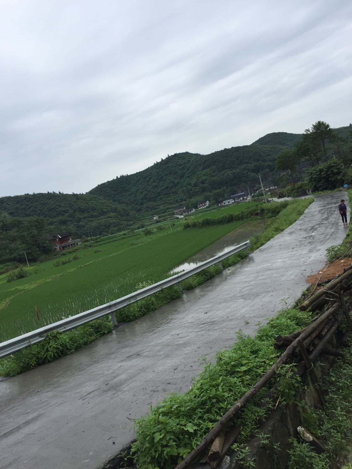 泉水村天气预报更新通知