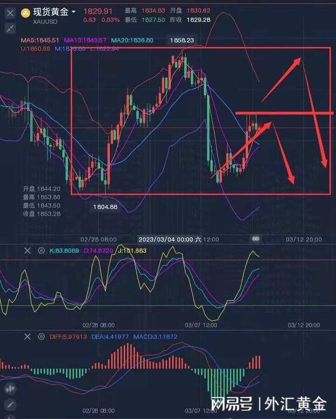 黄金外汇走势最新预测，市场趋势与影响因素深度解析