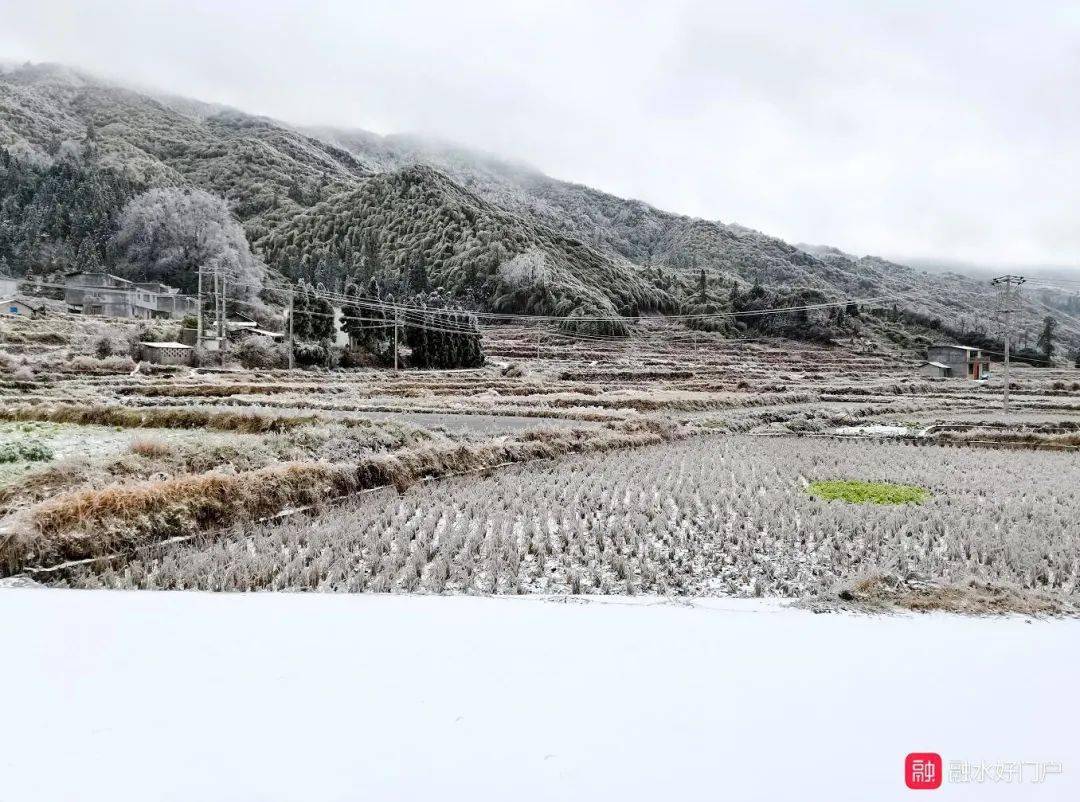 杆洞乡最新天气预报信息汇总