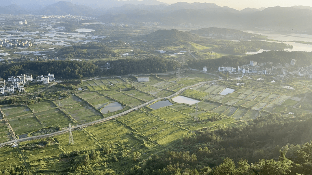 岭东区青山旅游公司最新交通动态